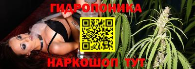 ECSTASY Тулун