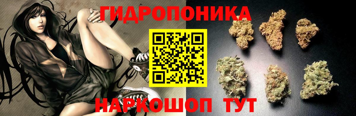 Бошки марихуана THC 21% Мирный